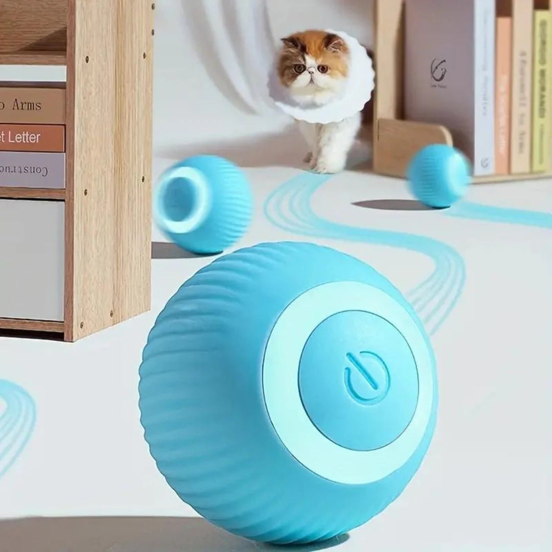 Bola Pelota Magica Gatos